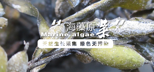 test1