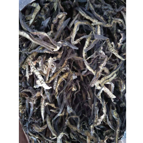 海茸