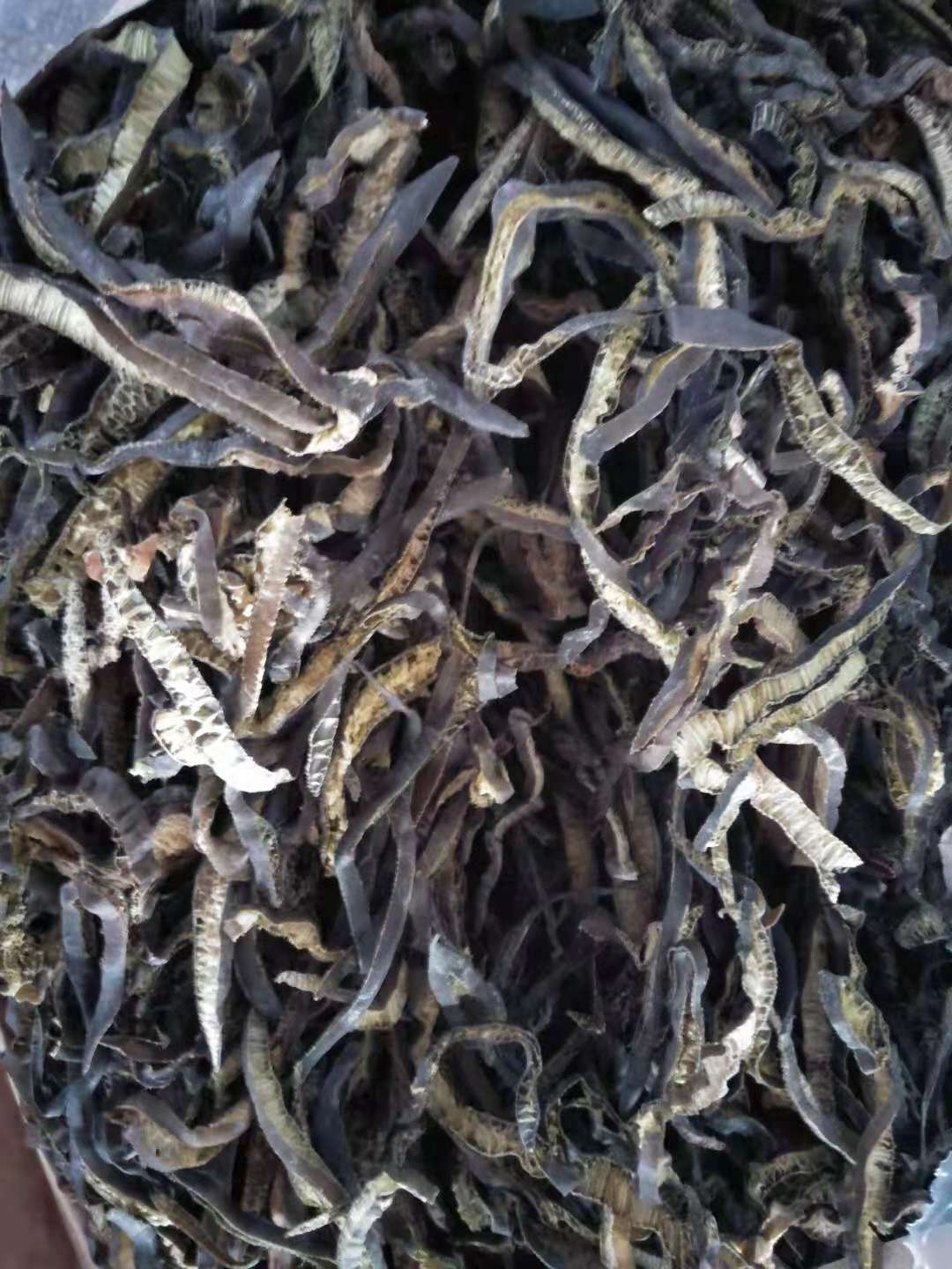 海茸